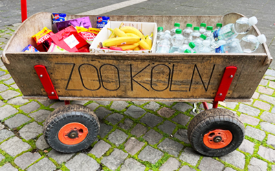 Ein besonderer Tag für Mütter und Kinder im Kölner Zoo 